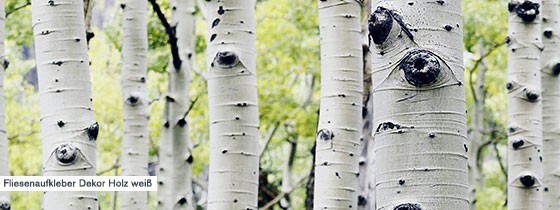 Ähnlich wie die Rinde der Birke bringen Fliesenaufkleber mit der Optik von weißem Holz Naturfeeling pur. Schau dir unsere Designs gerne an.